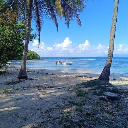 T1 Bis A Proximite De La Plage لو جوسيير المظهر الخارجي الصورة
